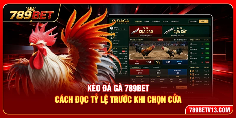 Kèo Đá Gà 789BET – Cách Đọc Tỷ Lệ Chuẩn Xác Cho Người Mới 1 Kèo Đá Gà 789BET – Cách Đọc Tỷ Lệ Chuẩn Xác Cho Người Mới