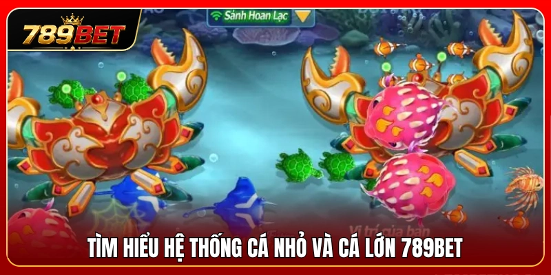 Cá Nhỏ Cá Lớn 789BET – Cách Chọn Mục Tiêu Không Hao Đạn 2 Khái quát về hệ thống cá nhỏ cá lớn 789BET