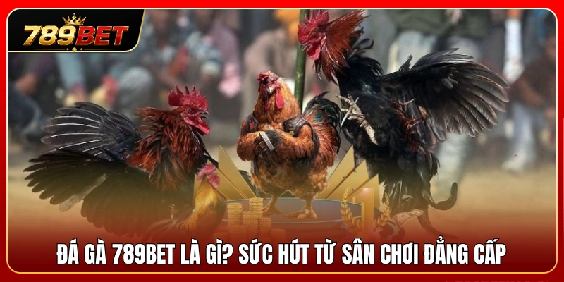 Đá Gà 789BET 1 Sảnh đá gà 789BET là gì? Điểm hấp dẫn của đấu trường uy tín
