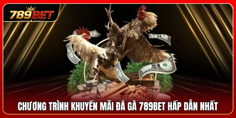 Đá Gà 789BET 3 Sự kiện ưu đãi đá gà 789BET có giá trị khủng nhất