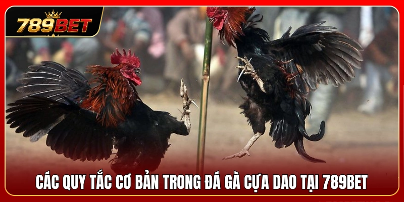 Tổng hợp quy tắc cốt lõi trong đá gà cựa dao 789BET 