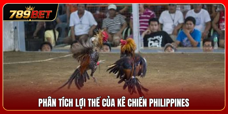 Đá Gà Philippines 789BET – Dòng Trận Quốc Tế Được Quan Tâm 3 Đánh giá thế mạnh vượt trội của dòng gà đá Philippines