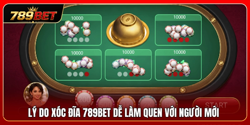 Xóc Đĩa 789BET – Luật Chơi Nhanh, Ván Gọn, Dễ Làm Quen 3 Nguyên nhân xóc đĩa 789BET phù hợp cho tân thủ bắt đầu